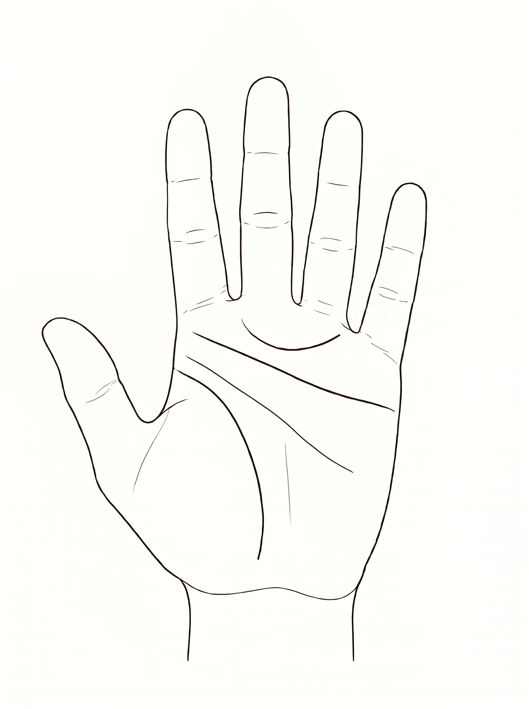 Open palm with the heart, head, life, fate, and sun lines drawn